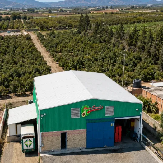 La planta de Mexfrut vista desde el aire, rodeada de huertos de aguacate en Zapotiltic, Jalisco.