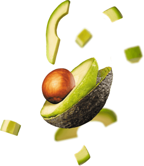 aguacate Hass
