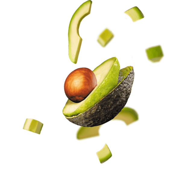Aguacate Hass